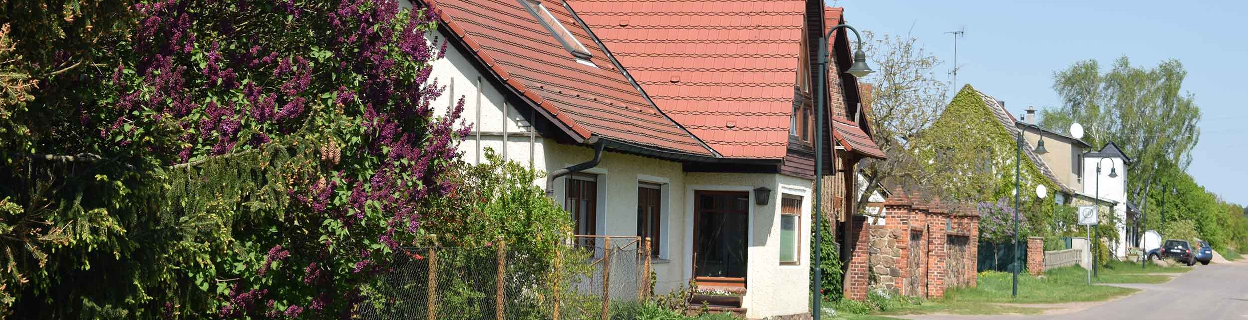 Gesunde Kartoffeln nach Saison