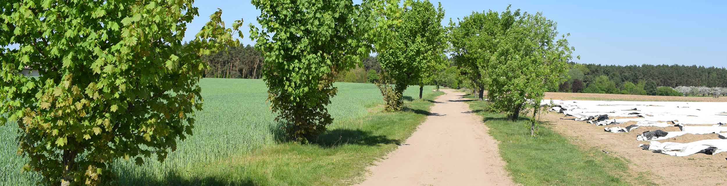 spargelhof-kalkofen.de